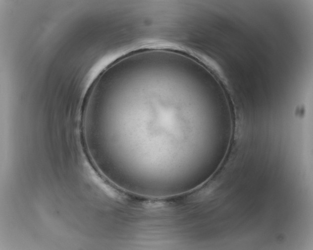 X0000112461231200908171154