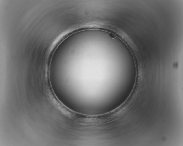 X0000112461232200908171155