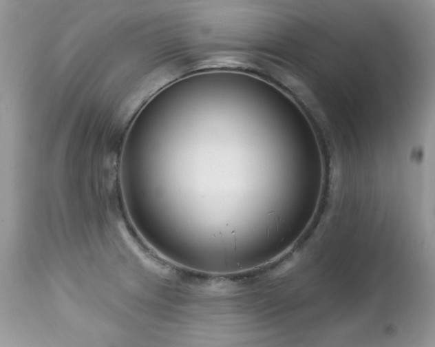 X0000112461233200908171155