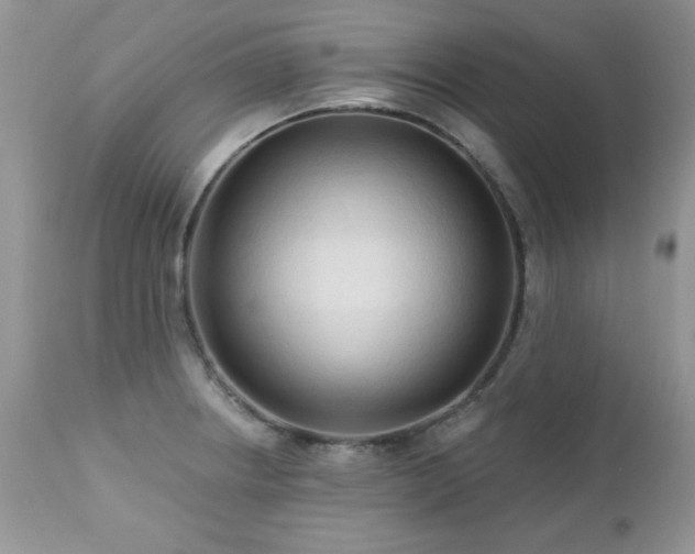 X0000112461234200908171155