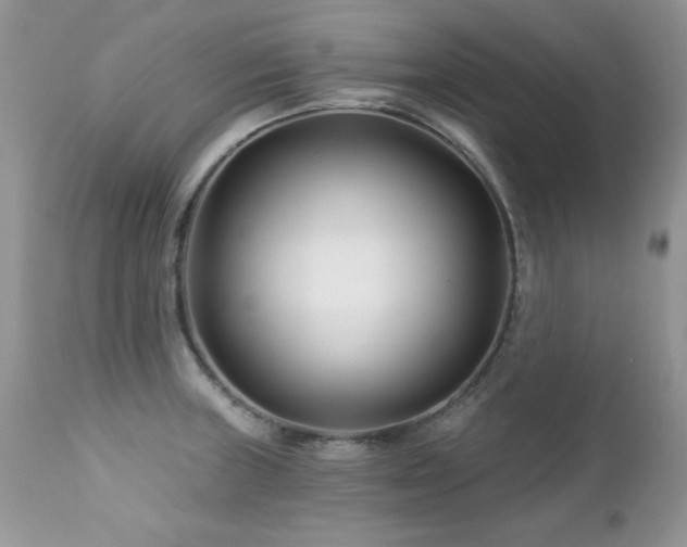 X0000112461235200908171155