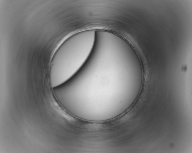 X0000112461236200908171155