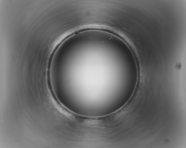 X0000112461237200908171155