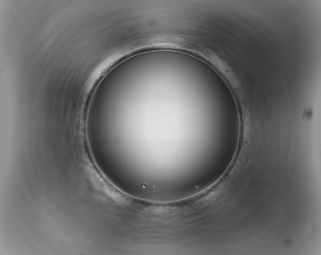 X0000112461240200908171155