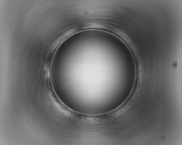 X0000112461241200908171155