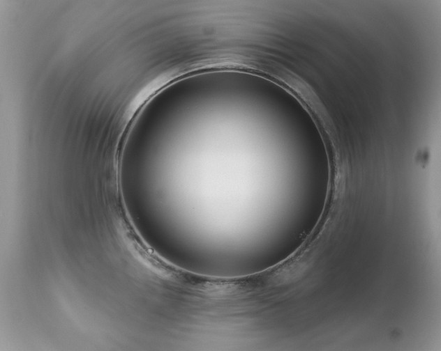 X0000112461242200908171155