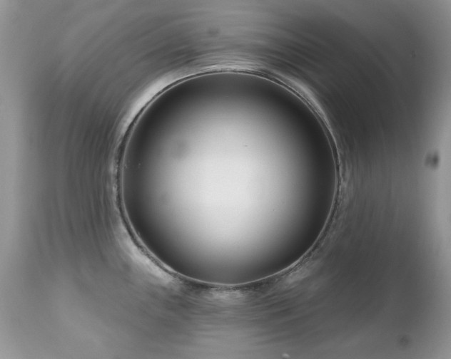 X0000112461243200908171155