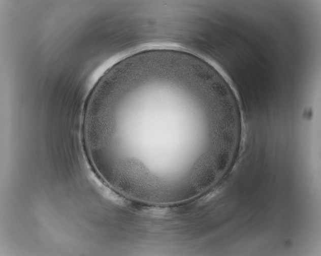 X0000112461245200908171155