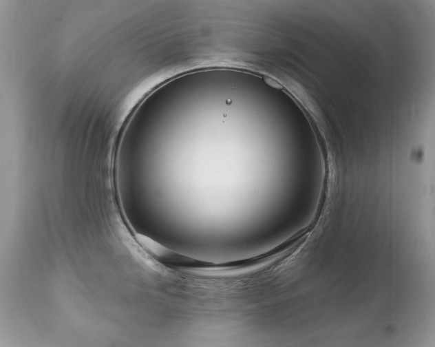 X0000112461246200908171155