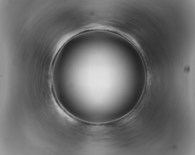 X0000112461247200908171155