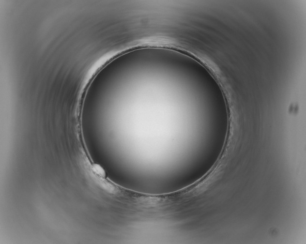 X0000112461248200908171155