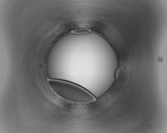 X0000112461249200908171154