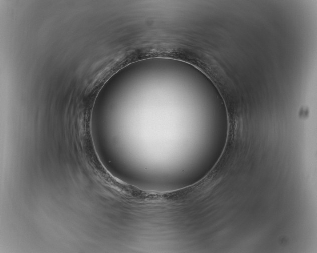 X0000112461250200908171154