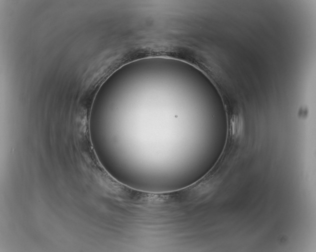 X0000112461251200908171154