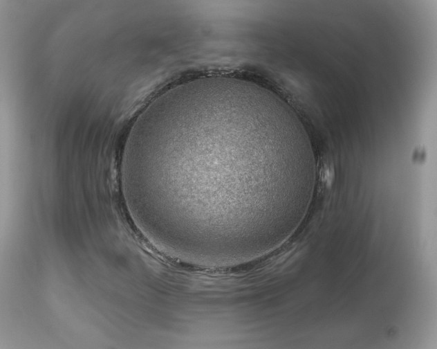 X0000112461252200908171154