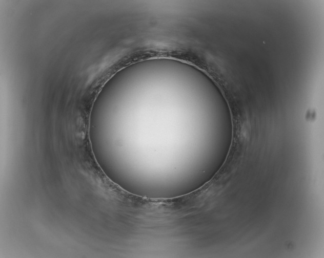 X0000112461253200908171154