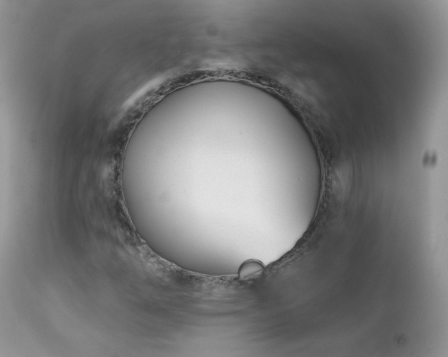 X0000112461254200908171154
