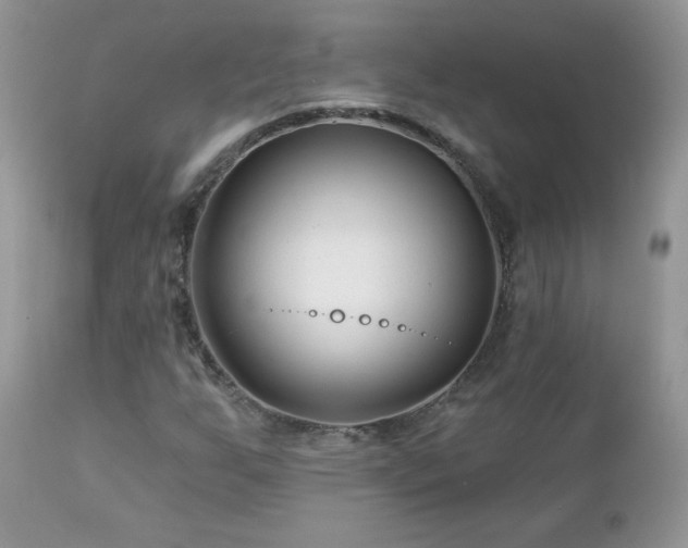 X0000112461255200908171154