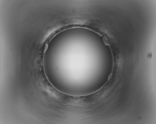 X0000112461256200908171154