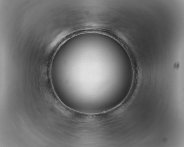 X0000112461259200908171154