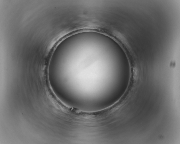X0000112461260200908171154