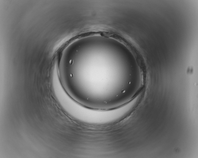 X0000112461261200908171154