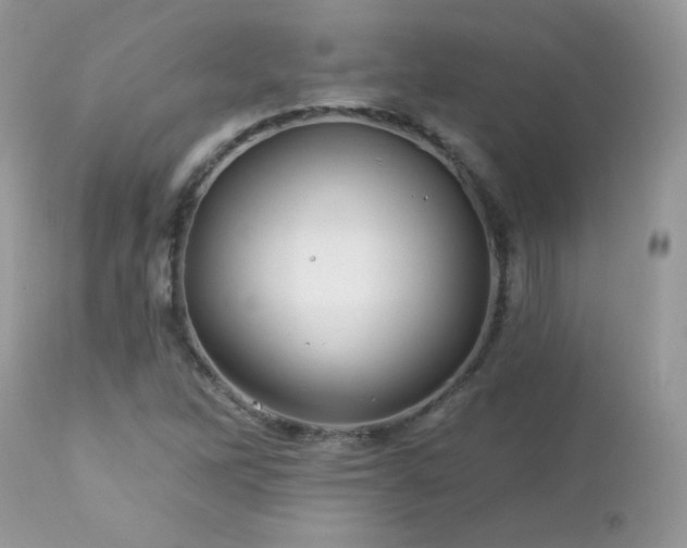 X0000112461262200908171154