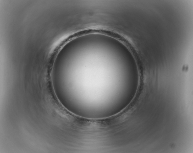 X0000112461263200908171154