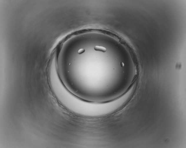 X0000112461264200908171154