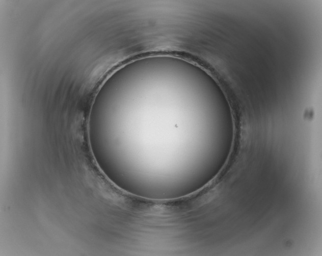 X0000112461265200908171154