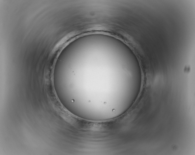 X0000112461266200908171154