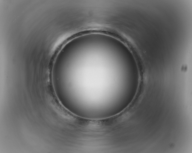 X0000112461267200908171154