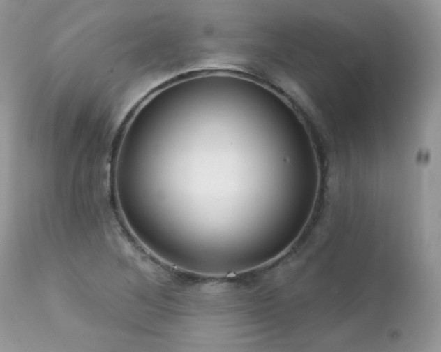 X0000112461268200908171154