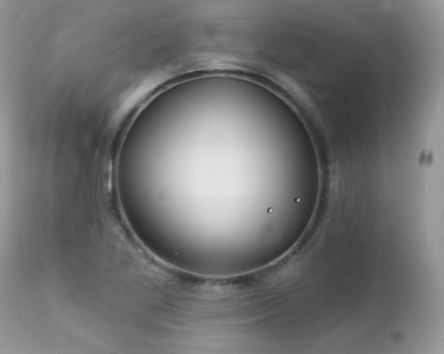X0000112461269200908171154