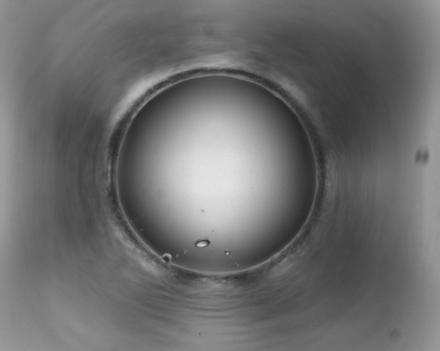 X0000112461270200908171154
