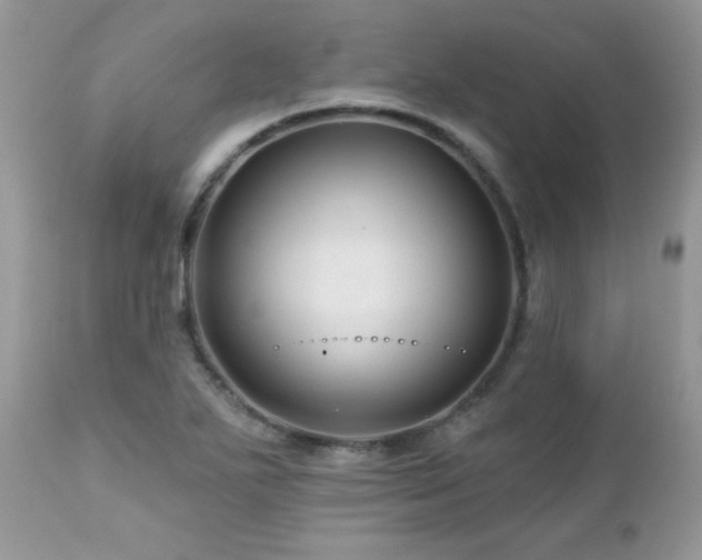 X0000112461271200908171154