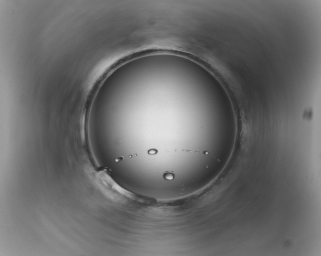 X0000112461272200908171154
