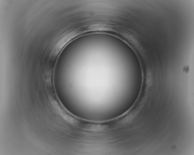 X0000112461273200908171154