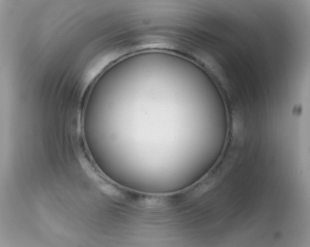 X0000112461274200908171154
