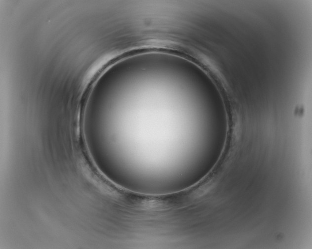 X0000112461275200908171154