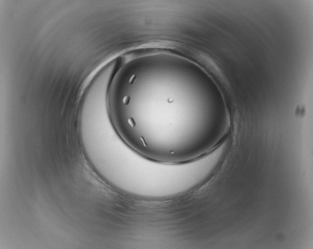 X0000112461276200908171154