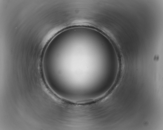 X0000112461277200908171154