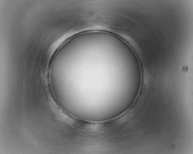 X0000112461278200908171153