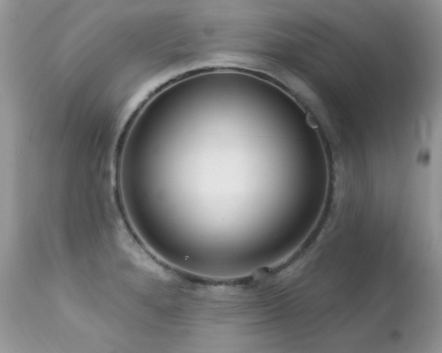 X0000112461280200908171153