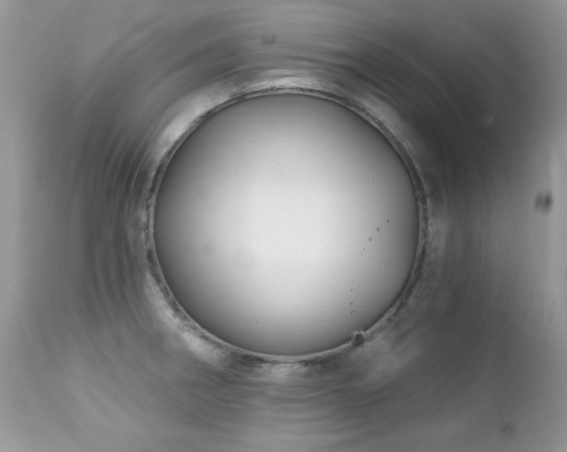 X0000112461282200908171153