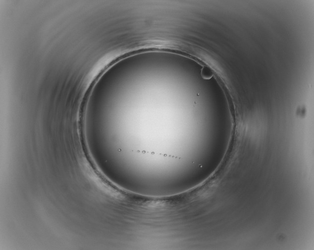 X0000112461283200908171153