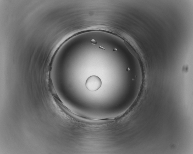 X0000112461284200908171153