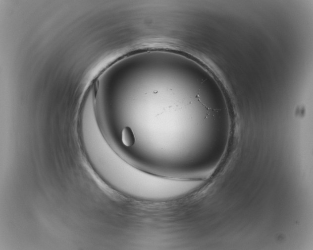 X0000112461285200908171153