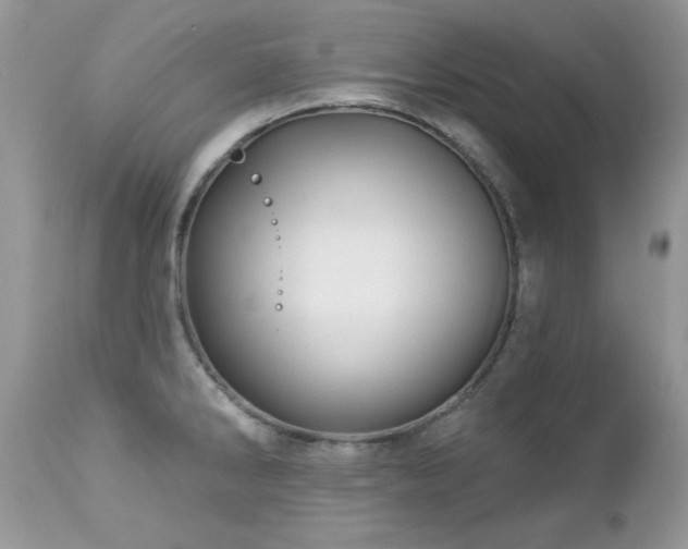 X0000112461286200908171153