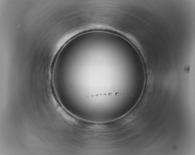 X0000112461287200908171153